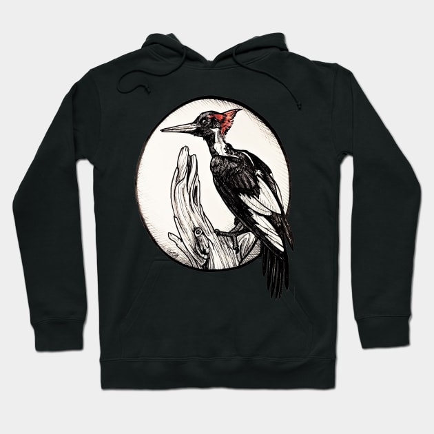 Woodpecker Hoodie by GnarlyBones